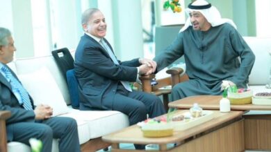 pm shebaz sharief with uae president