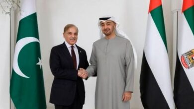 pm shebaz sharief,president uae