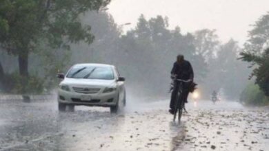 rain in punjab