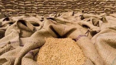 wheats disaster and pm action