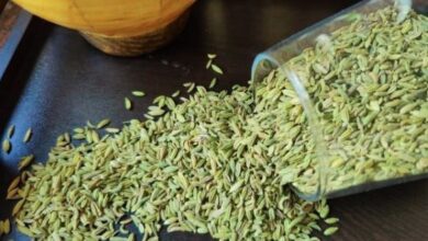 Benefits of Fennel