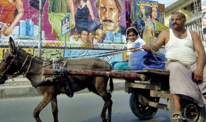 Cut off the donkey's ears