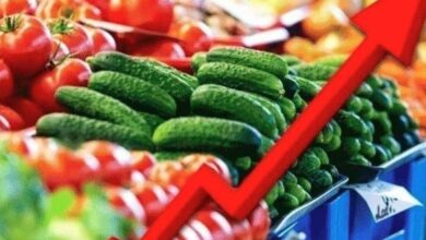 Inflation in food prices
