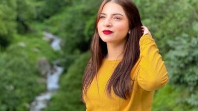 actress dananeer mubeen