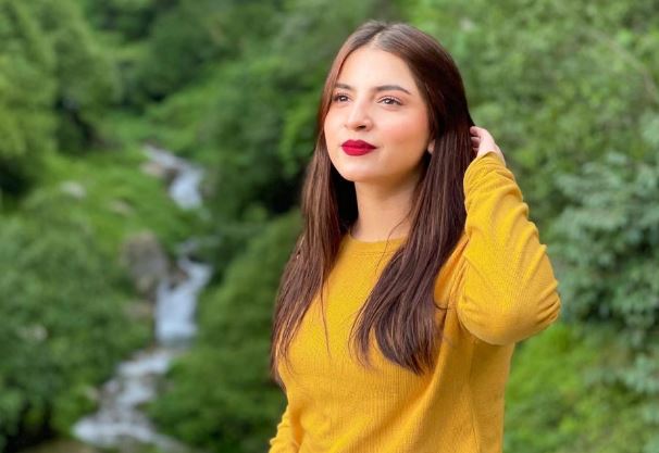 actress dananeer mubeen