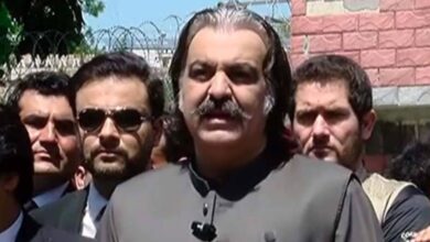 ali amin gandapur