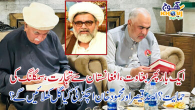 asad qaiser and mehmood khan achakzai