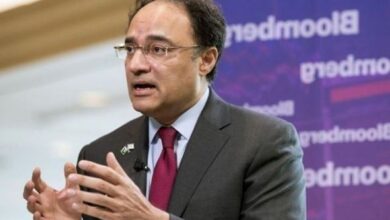 aurang zeb finance minister