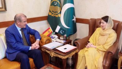 cm maryam nawaz meets