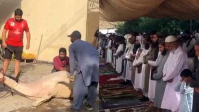 eid ul adha