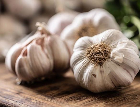 garlic