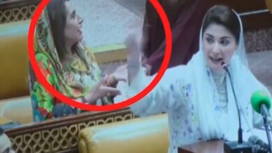 hina pervaiz butt and uzma kardar