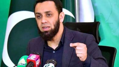 information minister ata tarar