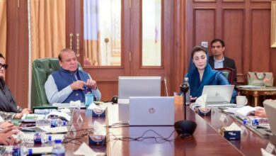 nawaz shairf and maryam nawaz meeting in muree