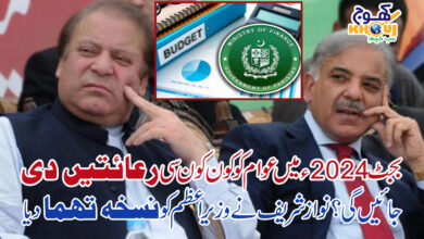 nawaz sharif and shahbaz sharif and budget