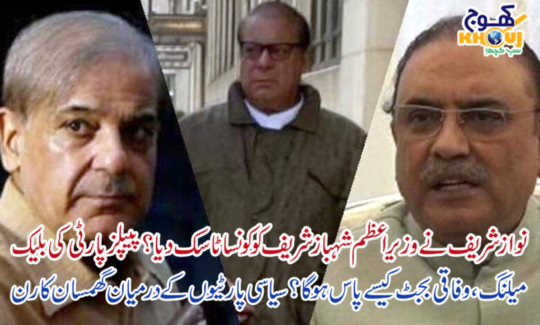 nawaz sharif shahbaz sharif and zardari