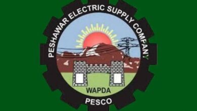 pepco electric