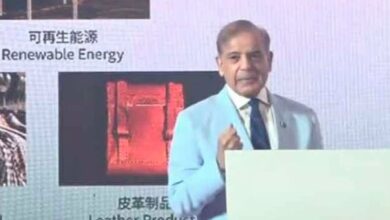 pm shebaz sharief