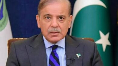 pm shebaz sharief