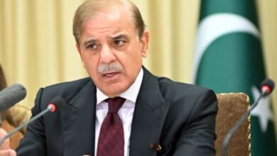 pm shebaz sharief