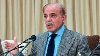 pm shebaz sharief