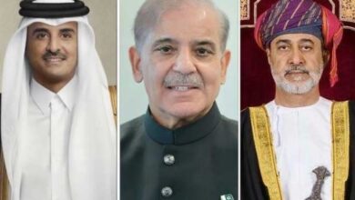 pm shebaz sharief calls