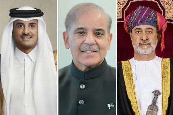 pm shebaz sharief calls