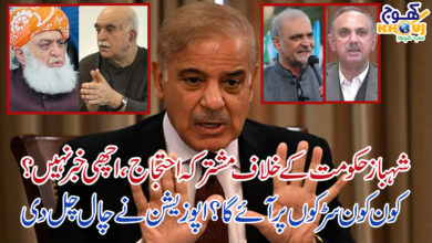 protest against shahbaz sharif