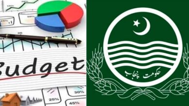 punjab budget 2024