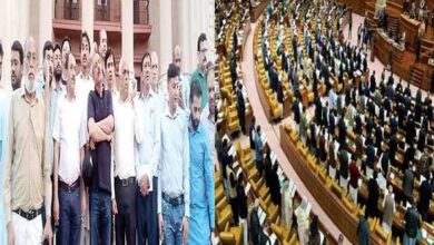 punjab journlist protest