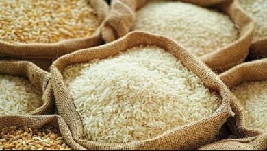 rice export from pakistan