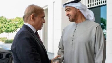 shahbaz sharif and uae president talk