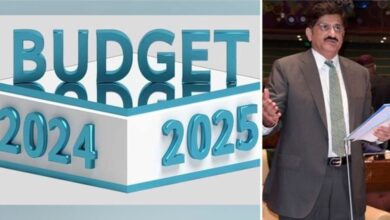 sindh budget 2024