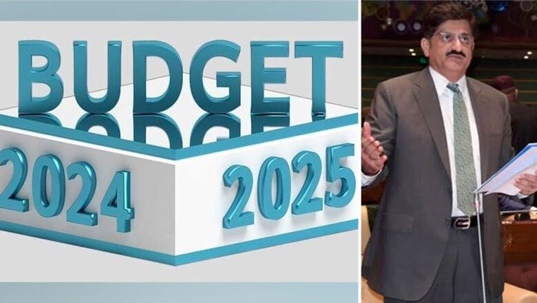 sindh budget 2024
