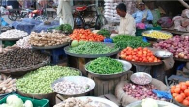vegetables shops in pakistan