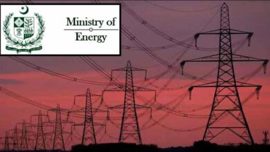 Approval of privatization of electricity distribution companies