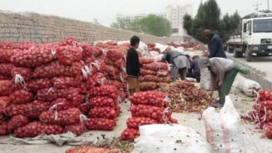 afghan truck of onion