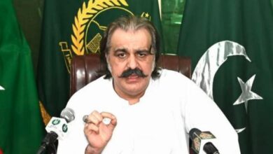 ali ameen gandapure