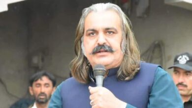 ali ameen gandapure