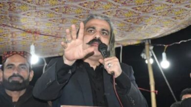 ali ameen gandapure