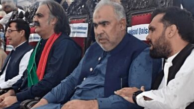 ali amin gandapur and barrister gohar