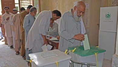 apcca voting schedule