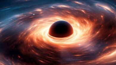 black hole