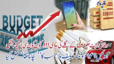 budget 2024-25