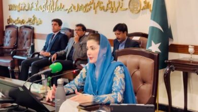 cm maryam nawaz