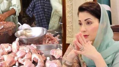 cm maryam nawaz and chiken prices