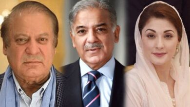 cm maryam nawaz,ex pm nawaz sharief,pm shebaz sharief