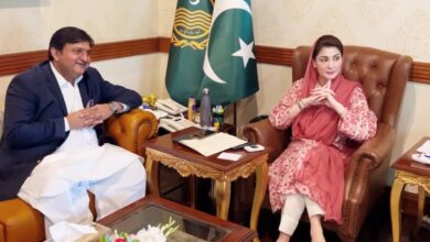 cm maryam nawaz,speaker malik ahmad khan
