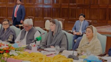 cm punjab maryam nawaz