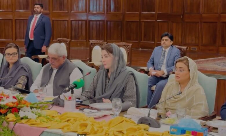 cm punjab maryam nawaz